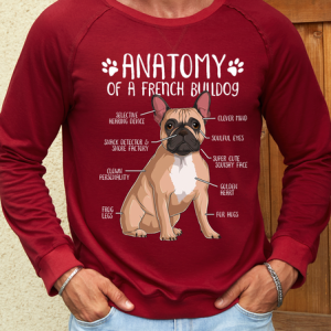 Men's Anatomy Of A French Bulldog Sweatshirt, color:Red|size:3XL, Lilicloth.com