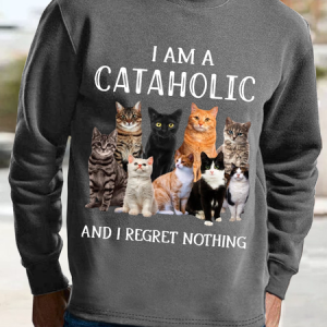 Men's I am a cataholic and i regret nothing Loose Color Block Casual Sweatshirt, color:Deep Gray|size:3XL, Lilicloth.com
