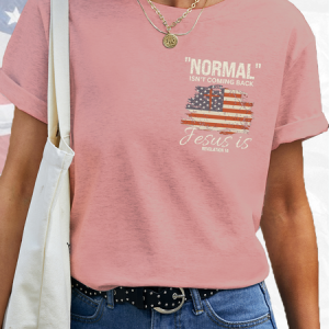 Women's American Flag Normal Isn't Coming Back Cotton Simple Loose T-Shirt, color:Pink|size:3XL, Lilicloth.com