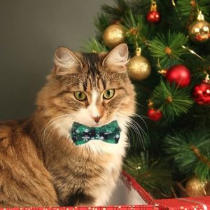 Christmas Plaid Snowflake Pattern Pet Bow Collar Cat Festive Decoration, Pet Supplies, color:Green|size:One-size, JustFashionNow
