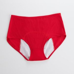 Women's Breathable Menstrual Panties, Panties, color:Red|size:5XL, JustFashionNow