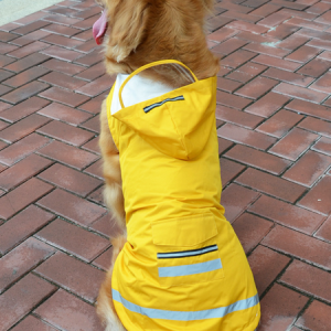 Lilicloth X Funnpaw Dog Raincoat, color:Yellow|size:5XL, Lilicloth.com
