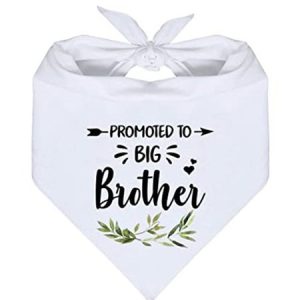 Lilicloth X Funnpaw Pet Text Letters Print Bib, color:Color8, Lilicloth.com