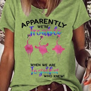 Women's Funny Flamingo Apparently Trouble When We Are Together Who Knew Graphic Printing Crew Neck Cotton-Blend Text Letters Casual T-Shirt, color:Green|size:3XL, Lilicloth.com
