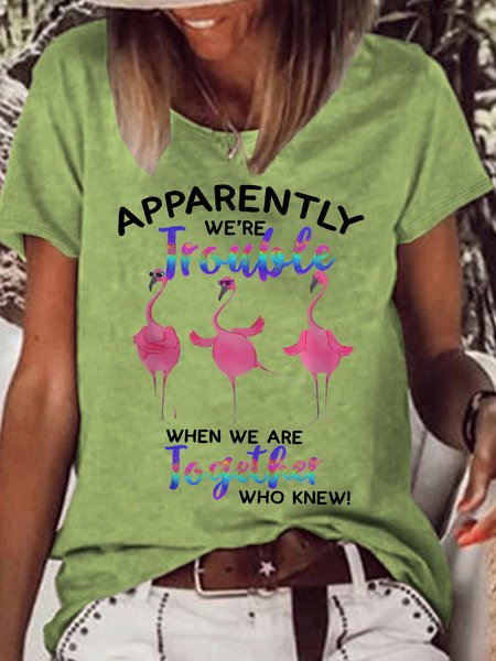 Women's Funny Flamingo Apparently Trouble When We Are Together Who Knew Graphic Printing Crew Neck Cotton-Blend Text Letters Casual T-Shirt, color:Green|size:3XL, Lilicloth.com