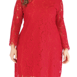 Lace Long Sleeve Crew Neck Party Dress, DRESSES, color:Red|size:6XL, Noracora