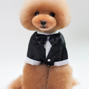 Lilicloth X Funnpaw Dog Wedding Suit, color:XXL|size:Black, Lilicloth.com