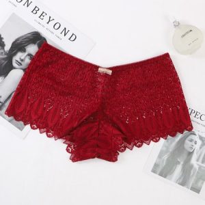 Breathable Comfortable Lightweight High Elastic Lace High Waist Panties, Briefs, color:Wine Red|size:XL, JustFashionNow