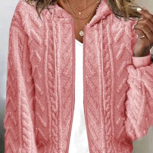 Hoodie Long Sleeve Plain Heavyweight Loose Hooded Teddy Jacket For Women, Coats, color:Pink|size:XXL, Noracora