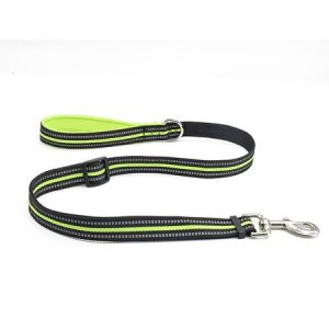 Lilicloth X Funnpaw Reflective Pet Leash, color:Green|size:L, Lilicloth.com
