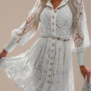 Women Lace Shawl Collar Long Sleeve Comfy Party Lace Short Dress, Dresses, color:White|size:XL, Noracora