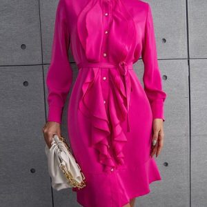 Long Sleeve Stand Collar Plain Elegant Regular Fit Dress, Mini Dresses, color:Rose Red|size:XXL, Stylewe
