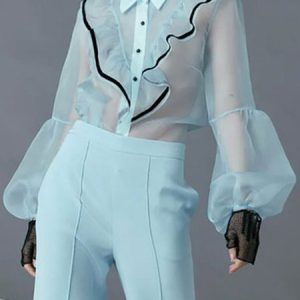 Elegant Shirt Collar Lantern Sleeve Organza  Flouncing Plain Blouse, Blouses and Shirts, color:Light Blue|size:XXL, Stylewe