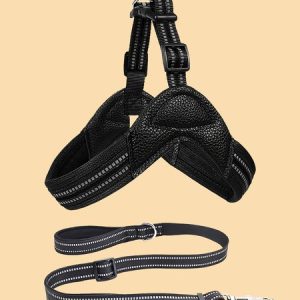 Lilicloth X Funnpaw Reflective Vest Style Pet Leash Set, color:Black|size:L, Lilicloth.com