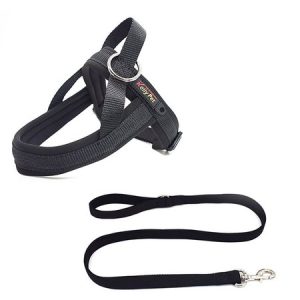 Lilicloth X Funnpaw Reflective Vest Style Pet Leash Set, color:Black|size:XL, Lilicloth.com