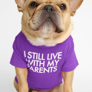 Lilicloth X Funnpaw I Still Live With My Parents Dog Outfit, color:Purple|size:XXL, Lilicloth.com