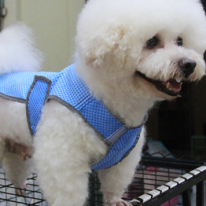 Lilicloth X Funnpaw Summer Thin Large Dog Clothes Pet Cooling Clothes, color:Blue|size:XL, Lilicloth.com