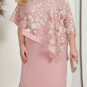Lace Plain Crew Neck Party Dress, DRESSES, color:Pink|size:5XL, Noracora