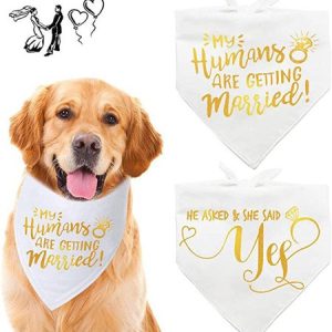 Lilicloth X Funnpaw Pet Text Letters Print Bib, color:Color6|size:One-size, Lilicloth.com