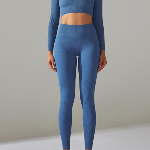 Women Plain Crew Neck Long Sleeve Comfy Casual Top With Pants Two-Piece Set, Sets, color:Blue|size:L, Noracora