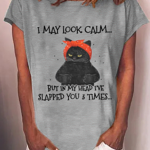Women's Funny Cat I May Look Calm But In My Head I've Slapped You 3 Times Loose T-Shirt, color:Gray|size:3XL, Lilicloth.com