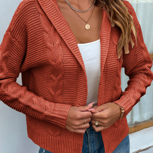 Hoodie Casual Plain Knitted Cardigan, Cardigans, color:Brick Red|size:XL, Noracora