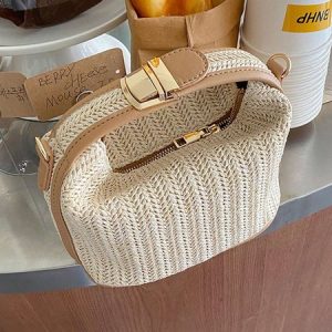 Minimalist Mini Straw Bag Vacation Handbag with Crossbody Strap, Bags, color:As Picture|size:One-size, Stylewe