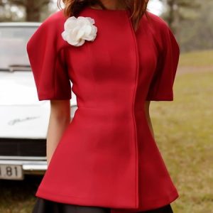 Plain Regular Fit Urban Crew Neck Short Sleeve Blouse With Brooch, Blouses and Shirts, color:Red|size:XXL, Stylewe