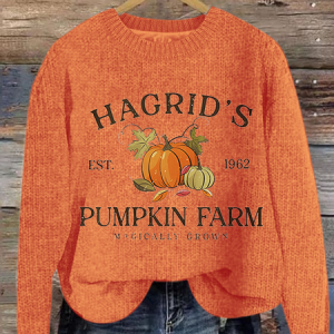 Women's Hagrid'S Pumpkin Patch Print Loose Knitted Simple Sweater, Sweaters, Lilicloth.com