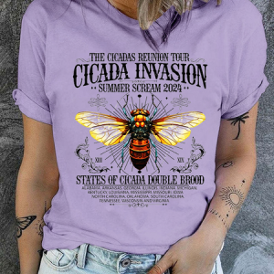 The Cicadas Reunion Tour Summer 2024 Text Letters Casual T-Shirt, T-shirts, Lilicloth.com
