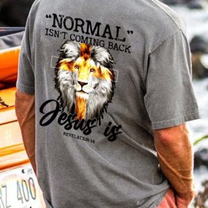 Normal Isn’t Coming Back Jesus Is Revelation 14 T-Shirt, T-shirts, Lilicloth.com