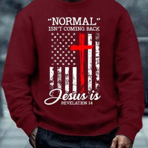 Men Normal Isn’t Coming Back Jesus Text Letters Crew Neck Casual Sweatshirt, Hoodies&Sweatshirts, Lilicloth.com