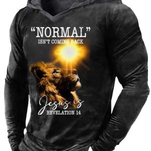 Men Normal Isn’t Coming Back Jesus Is Regular Fit Sweatshirt, Hoodies&Sweatshirts, Lilicloth.com