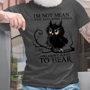 I'm Not Mean I Just Said Some Things You Didn't Want To Hear Men's T-Shirt, T-shirts, Lilicloth.com