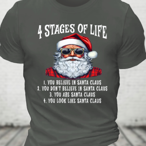 4 Stages Of Life Funny Christmas Cotton T-Shirt, T-shirts, Lilicloth.com