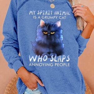 Womens Funny Grumpy Cat Casual Sweatshirt, Hoodies&Sweatshirts, Lilicloth.com