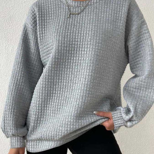 Women Plain Crew Neck Casual Spring/Fall Long Sleeve Sweatshirt, JustFashionNow Sweatshirts & Hoodies, color:Light Gray|size:3XL,