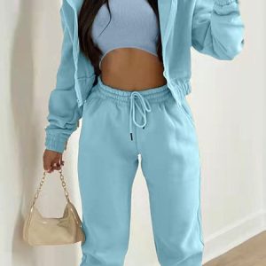 Women Plain Split Joint Matching Outfit Commuting Long Sleeve Casual Spring/Fall Multi-Piece Set Matching Set, JustFashionNow Suit Set, color:Light Blue|size:3XL,