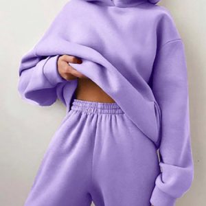 Women Plain Split Joint Two-Piece Set Daily Long Sleeve Casual Spring/Fall Top With Pants Matching Set, JustFashionNow Suit Set, color:Purple|size:3XL,