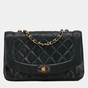 Chanel Black Leather Diana Flap Bag, Shoulder Bags - Luxury Closet catalog