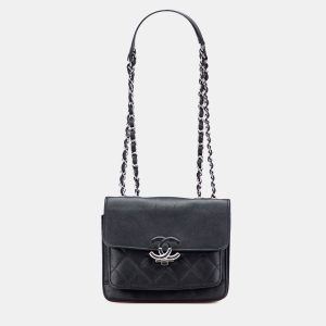 Chanel Black Small Quilted Goatskin CC Box Flap Bag, Shoulder Bags - Luxury Closet catalog