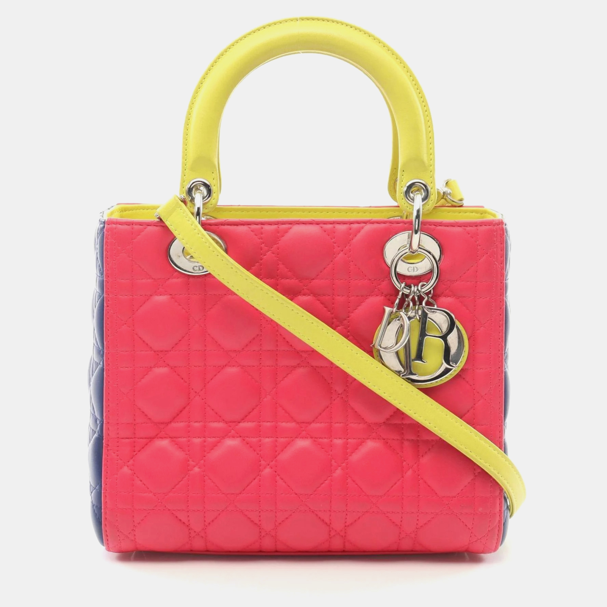 Dior Lady Dior Pink Green Blue Leather Shoulder Bag, Satchels - Luxury Closet catalog