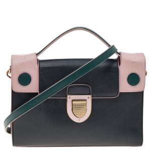 Dior Multicolor Leather Diorever Top Handle Bag, Satchels - Luxury Closet catalog