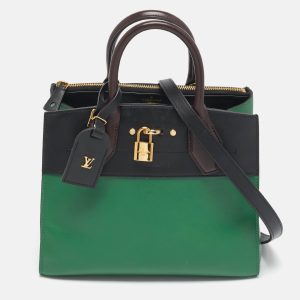 Louis Vuitton Green/Brown Leather City Steamer PM Bag, Tote Handbags - Luxury Closet catalog