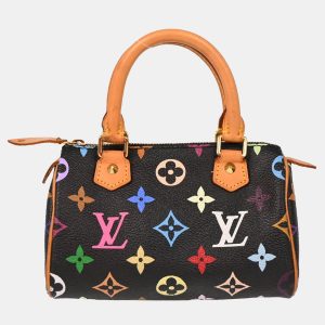 Louis Vuitton Multicolor Mini Speedy Handbag, Handbags - Luxury Closet catalog