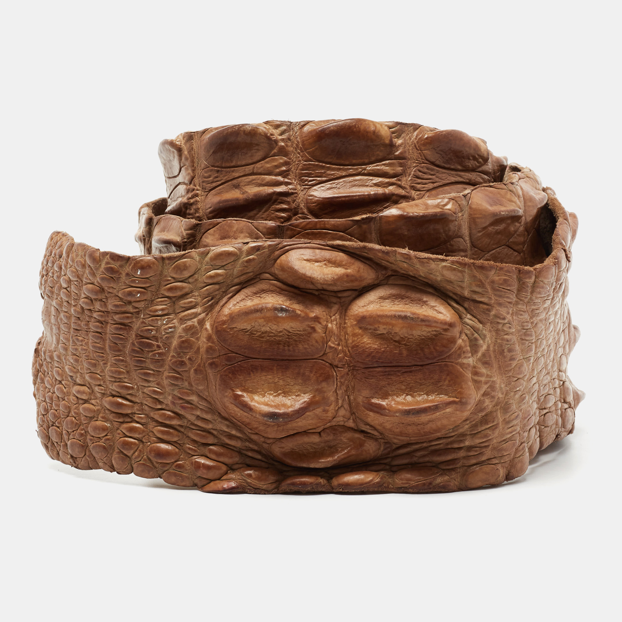Roberto Cavalli Brown Crocodile Back Horn Waist Belt, Belt Buckles - Luxury Closet catalog