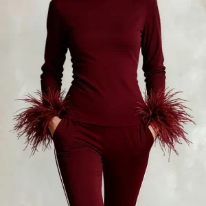 Elegant Plain Feather Stand Collar Blouse, Blouses and Shirts, color:Wine Red|size:XXL, Stylewe