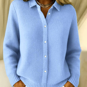 Women Plain Long Sleeve Comfy Casual Cardigan, Cardigans, color:Sky Blue|size:4XL, catalog Noracora shop