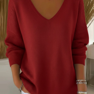 Women Plain Long Sleeve Tee T-shirt V Neck Printing Casual Spring/Fall Top, JustFashionNow T-Shirts, color:Wine Red|size:4XL