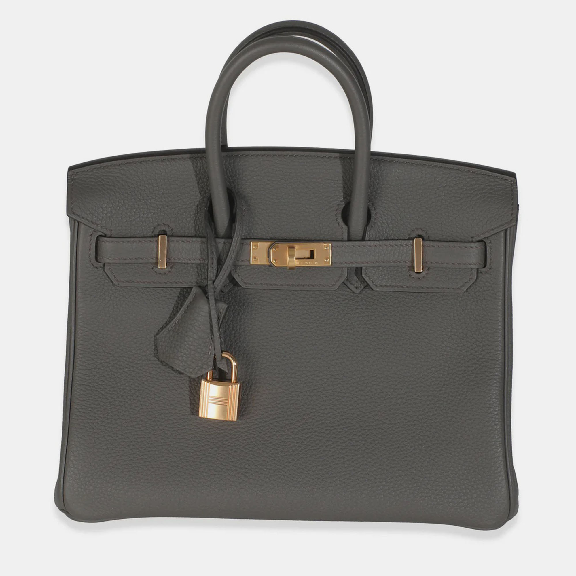Hermes Birkin 25 Etain Togo Bag, Tote Handbags - Luxury Closet